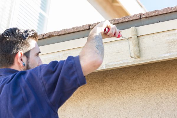 Small Project Painting Service